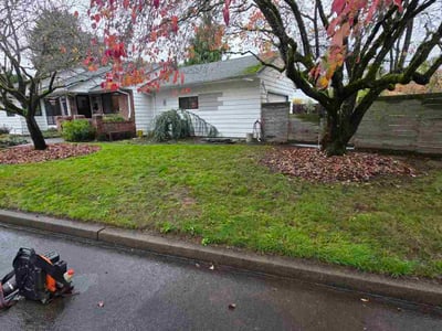 Leaf Removal service in Beaverton, 97005