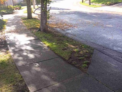 Leaf Removal service in Beaverton, 97005