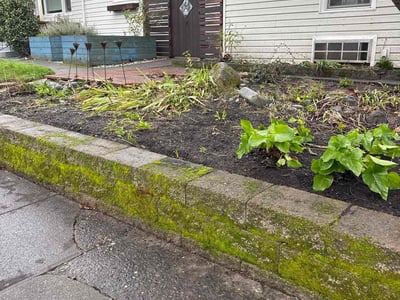 Leaf Removal service in Beaverton, 97005