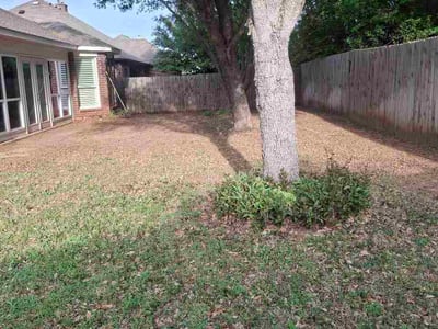 Leaf Removal service in Azle, 76020