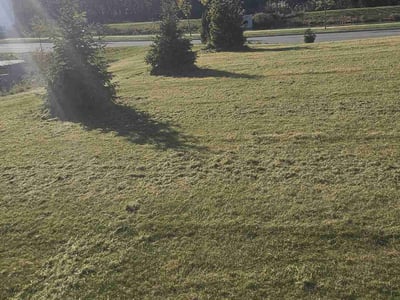 Lawn Care service in Grafton, 53024