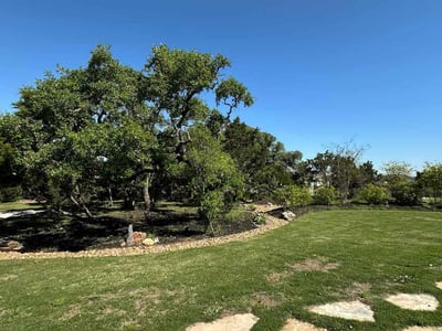 Lawn Care service in New Braunfels, 78130