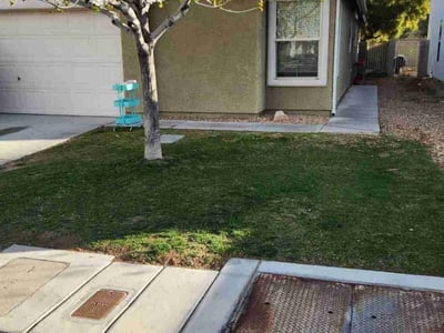 Lawn Care service in Paradise, 89119