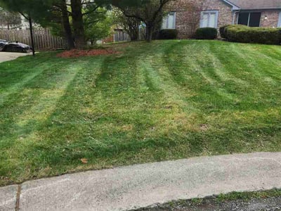 Lawn Care service in Speedway, 46224