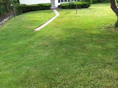 Lawn Care service in Berlin, 06037