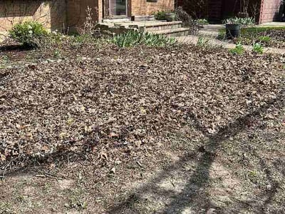 Leaf Removal service in Wausau, 54403