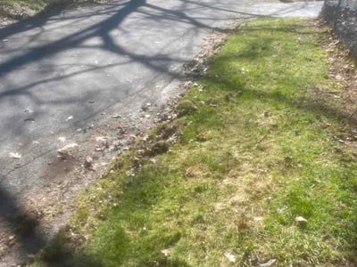 Leaf Removal service in Troy, 12180