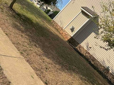 Leaf Removal service in Mooresville, 28115