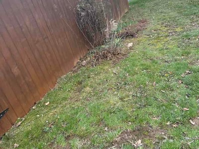 Leaf Removal service in Roseville, 55113