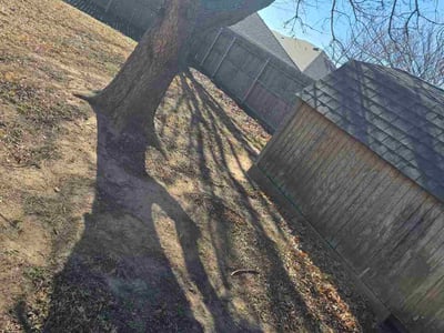 Leaf Removal service in Norman, 73069