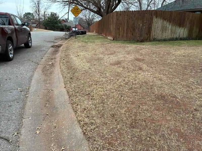 Leaf Removal service in Norman, 73069