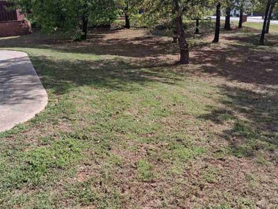 Leaf Removal service in Norman, 73069