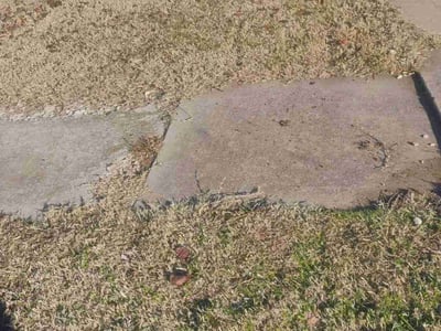 Leaf Removal service in Norman, 73069