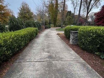 Leaf Removal service in Norman, 73069