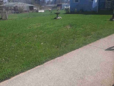 Lawn Care service in Saint Joseph, 49085