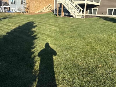 Leaf Removal service in Golden Valley, 55422
