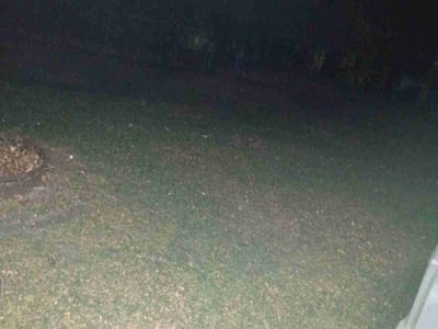 Leaf Removal service in Golden Valley, 55422