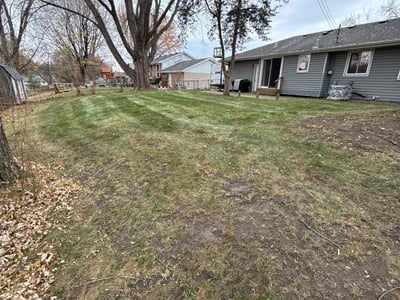 Leaf Removal service in Golden Valley, 55422