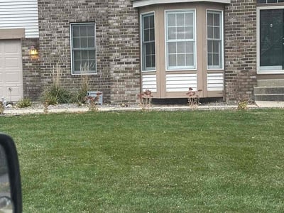 Leaf Removal service in Golden Valley, 55422