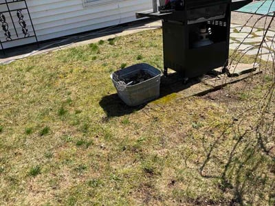 Leaf Removal service in Irondequoit, 14617