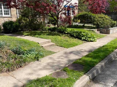 Leaf Removal service in Fredericksburg, 22401