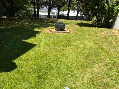 Lawn Care service in Burlington, 01803