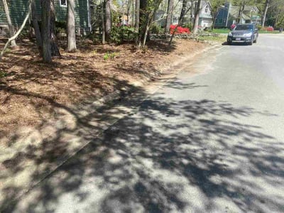 Leaf Removal service in Chester, 23831