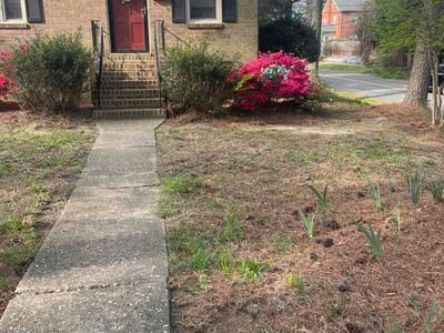 Leaf Removal service in Chester, 23831