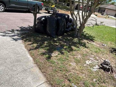 Leaf Removal service in Cape Coral, 33904