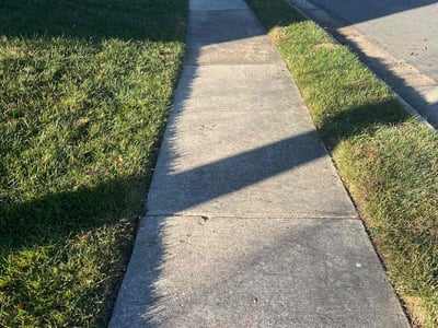 Leaf Removal service in Ashburn, 20147