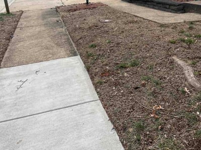 Leaf Removal service in Ashburn, 20147