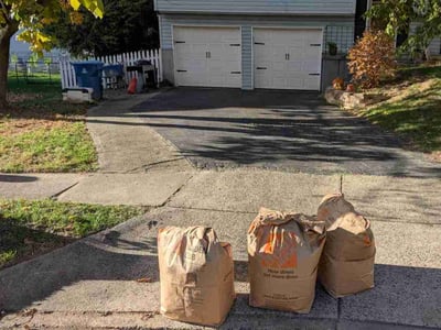 Leaf Removal service in Ashburn, 20147