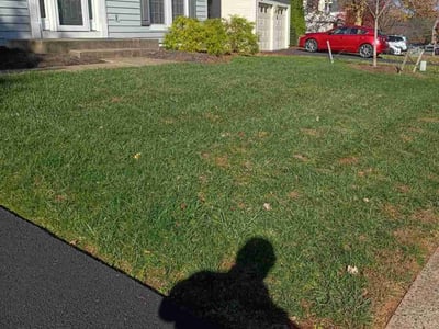 Leaf Removal service in Ashburn, 20147