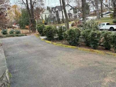 Leaf Removal service in Ashburn, 20147