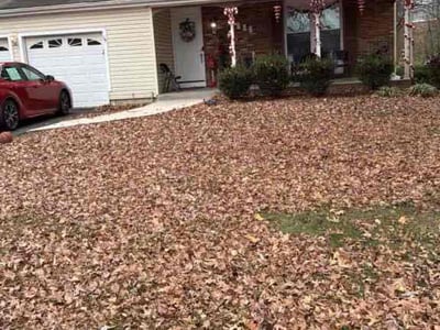 Leaf Removal service in Ashburn, 20147