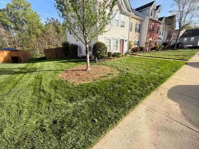 Lawn Care service in Colonial Heights, 23834