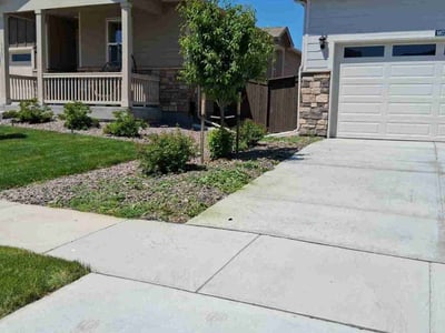 Lawn Care service in Commerce City, 80022