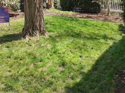 Lawn Care service in Spotsylvania, 22553