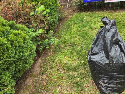 Lawn Care service in Dumfries, 22026
