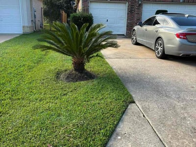 Lawn Care service in Mission Viejo, 92692