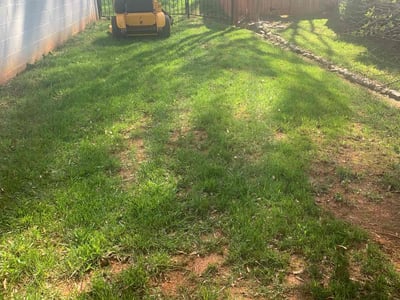 Lawn Care service in Lake Wylie, 29710