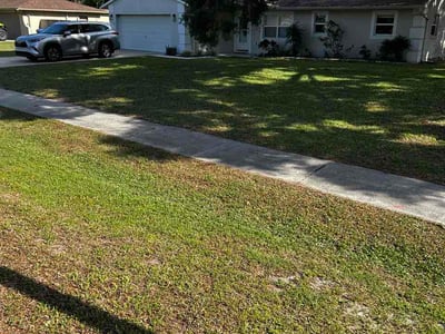 Lawn Care service in Holiday, 34691