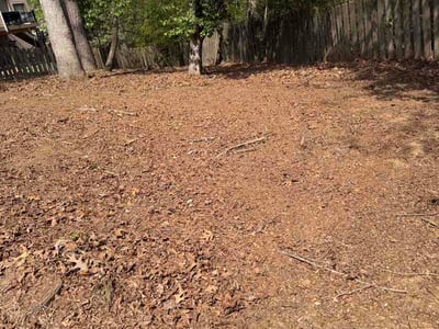 Lawn Care service in Alpharetta, 30009