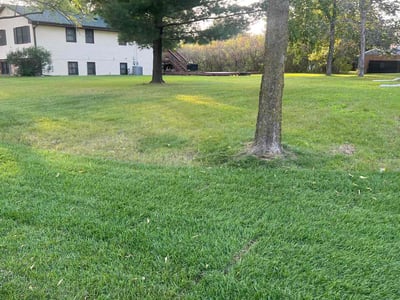 Lawn Care service in Forest Lake, 55025