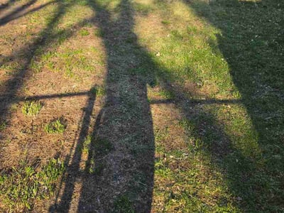 Leaf Removal service in Woodbury, 55125