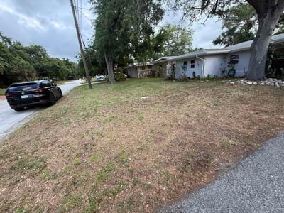 Leaf Removal service in The Villages, 32162