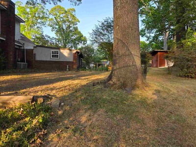 Leaf Removal service in Olive Branch, 38654