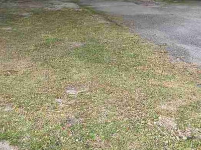 Leaf Removal service in Warner Robins, 31088