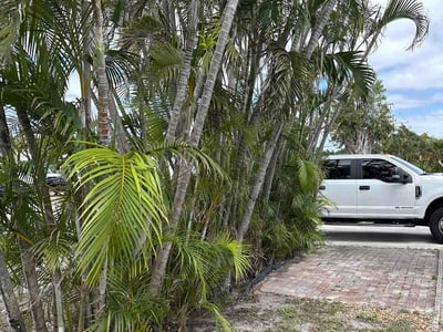 Leaf Removal service in Punta Gorda, 33950