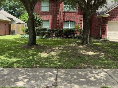 Lawn Care service in Stoneham, 02180